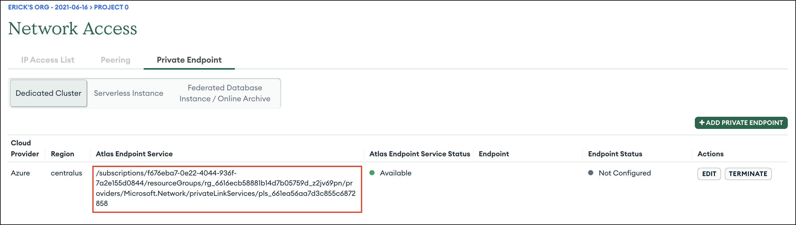 ../../_images/atlas-endpoint-service3.png