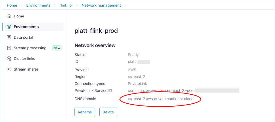 DNS domain on the Network Management for Flink private networking