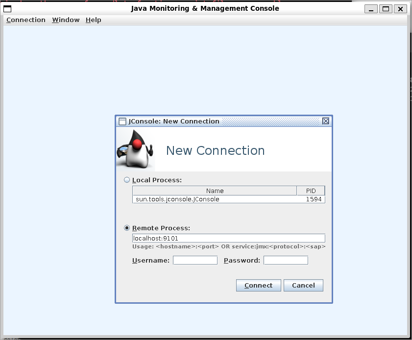 ../../../_images/docker-jmx-jconsole.png