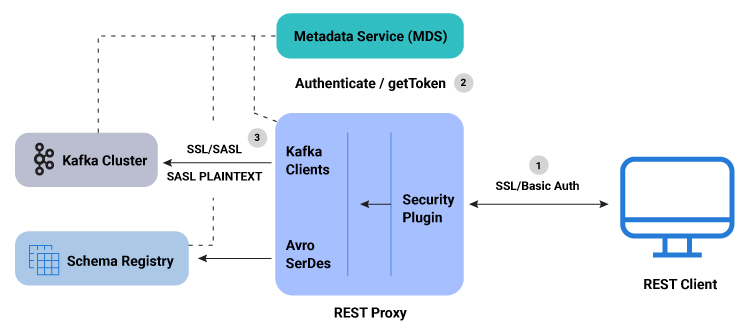 ../../../_images/rbac-rest-proxy-security.png